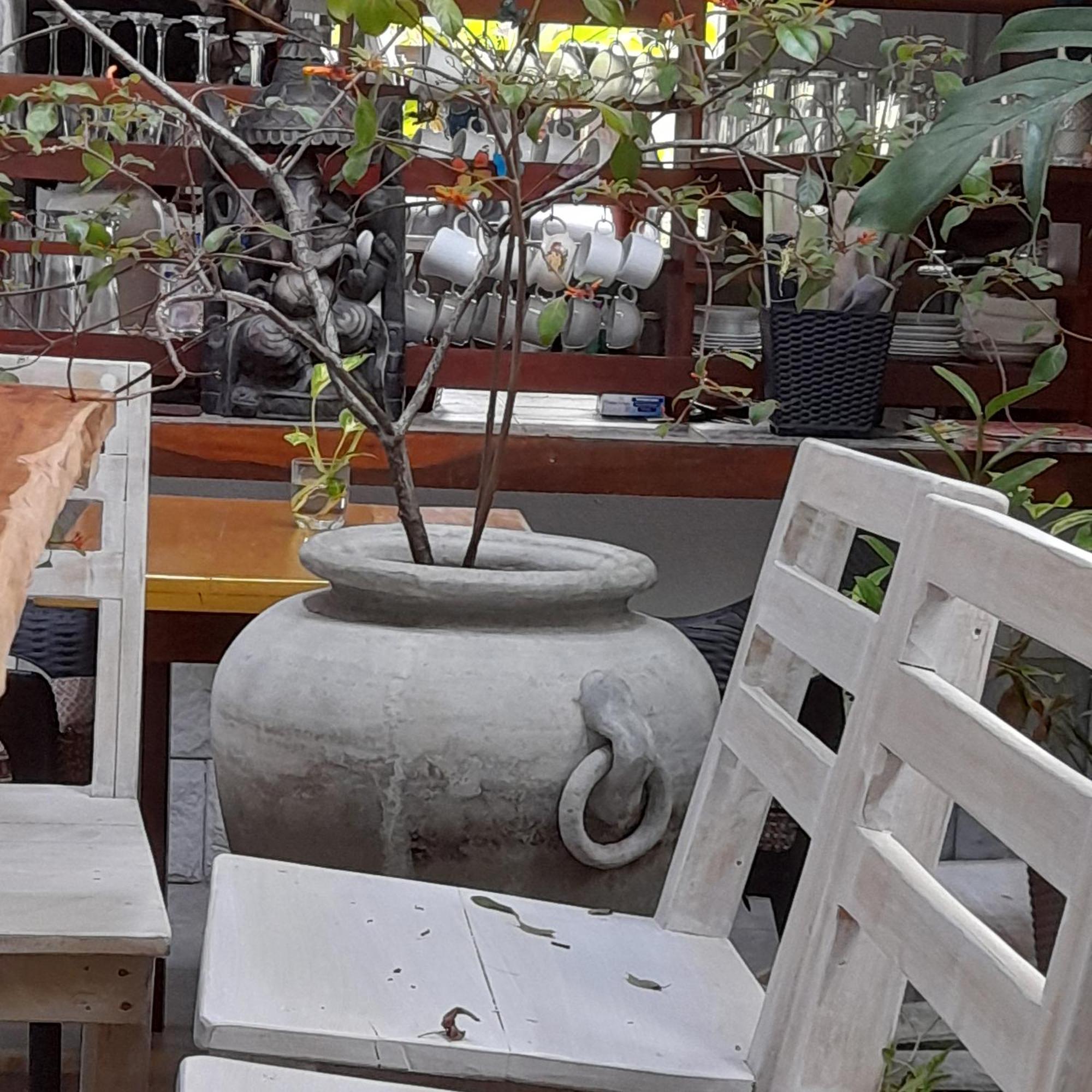 Shoba Traveller'S Tree Homes Stay Galle Exteriér fotografie