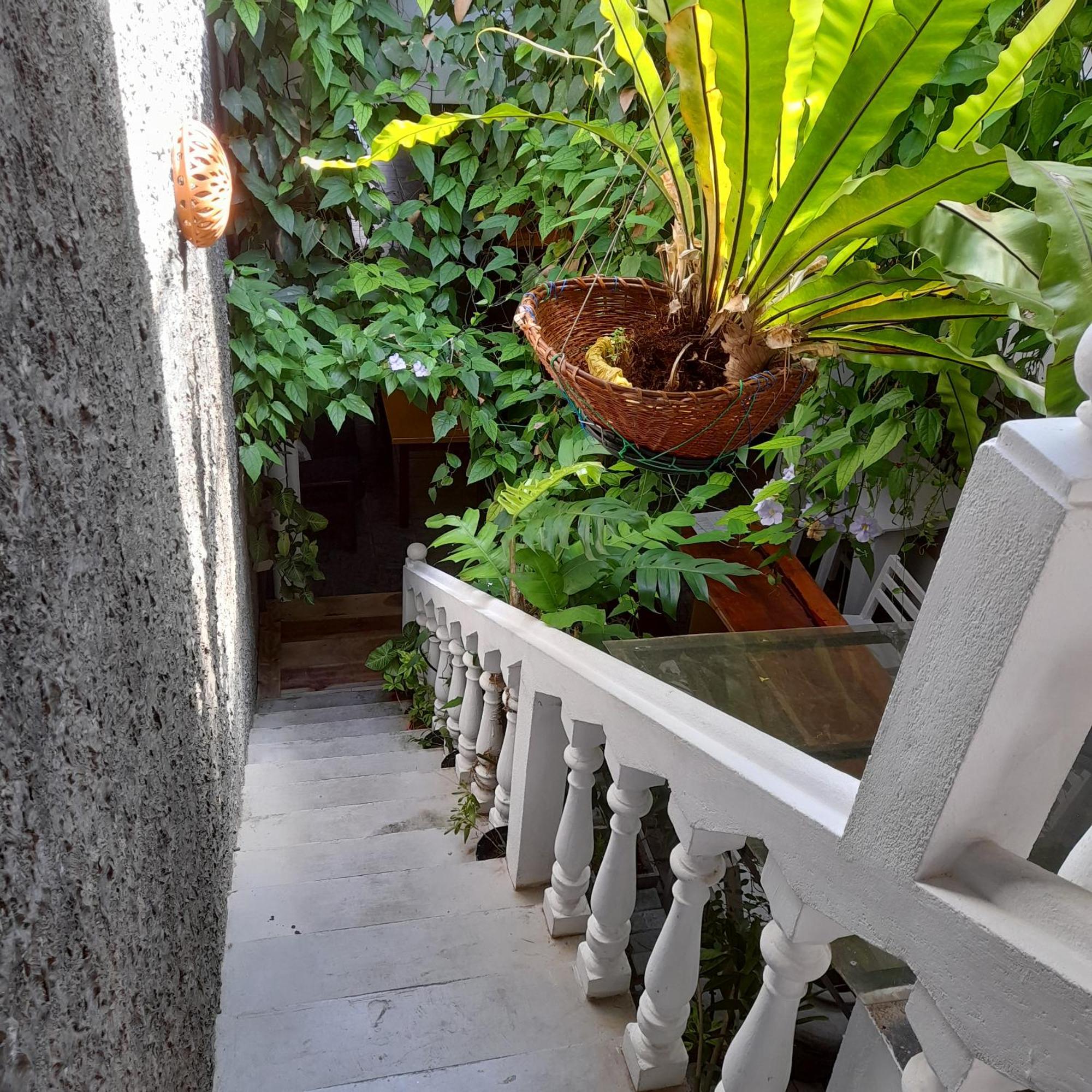 Shoba Traveller'S Tree Homes Stay Galle Exteriér fotografie