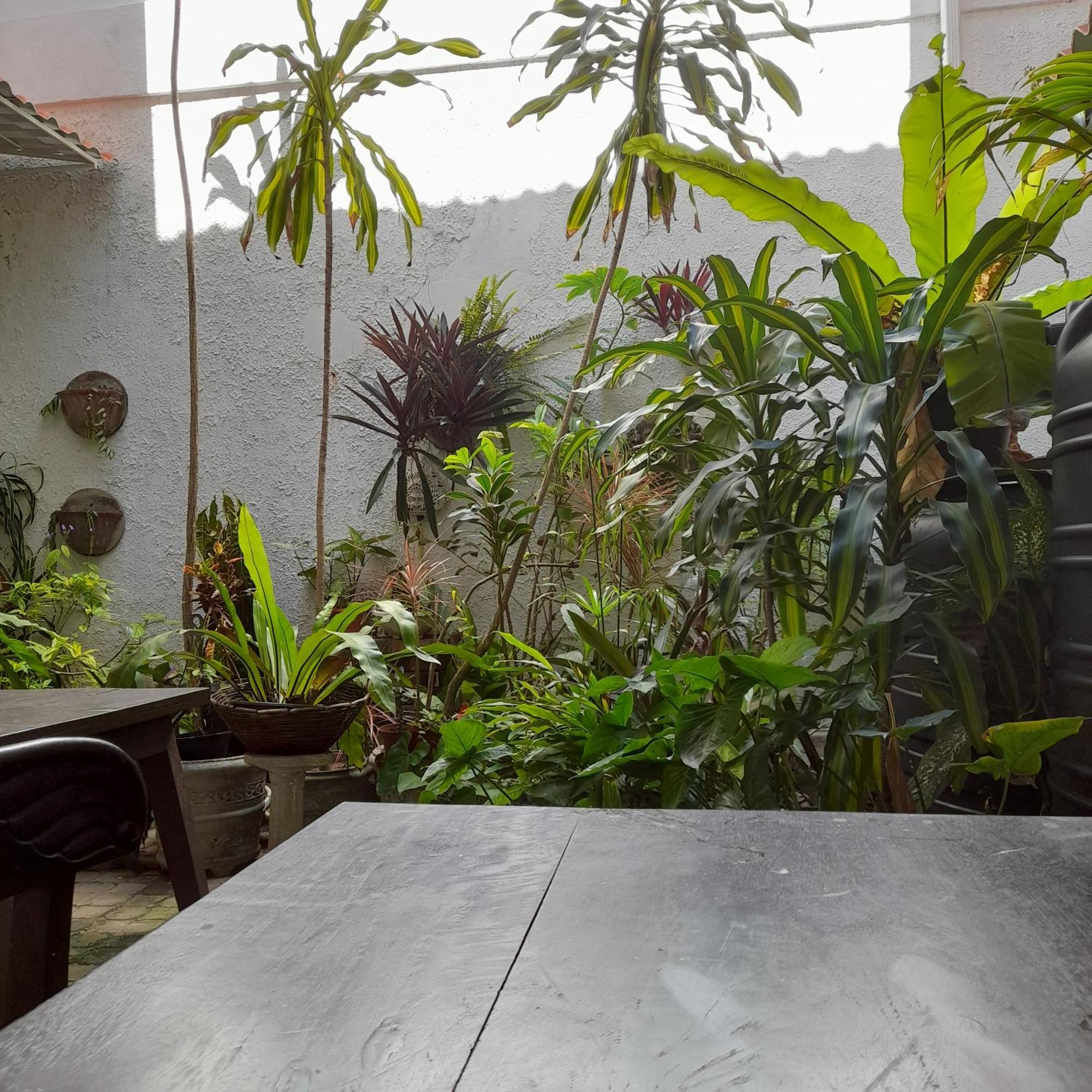 Shoba Traveller'S Tree Homes Stay Galle Exteriér fotografie