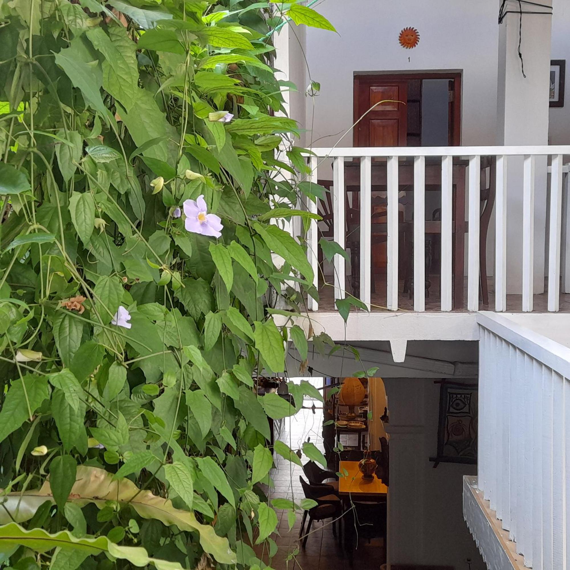 Shoba Traveller'S Tree Homes Stay Galle Exteriér fotografie